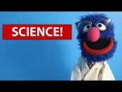 5 fun science experiments for kids video