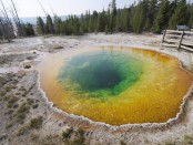 A photograph of the Morning Glory Pool from 23 August, 2012, showing bright colours of red, orange, yellow and green. Credit: Joseph Shaw, Montana State University.