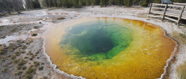 A photograph of the Morning Glory Pool from 23 August, 2012, showing bright colours of red, orange, yellow and green. Credit: Joseph Shaw, Montana State University.