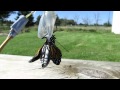 Video of monarchbutterfly emerging from its chrysalis
