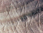 A shell found on Java in the late 1800s was recently found to bear markings that seem to have been carved intentionally half a million years ago. The photograph is about 15 millimetres wide. Credit: Wim Lustenhouwer/VU University Amsterdam.
