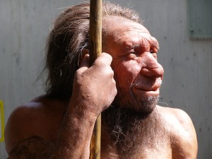 A reconstruction of a Neanderthal man from the Neadnerthal Museum in Mettmann, Germany. Credit: Erich Ferdinand on flickr.com. Used under CC BY 2.0 licence.