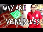 Why are veins blue picture